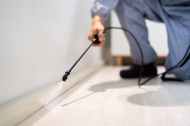 Licensed Pest Control service in Marin County County, CA - Nex Pest Control