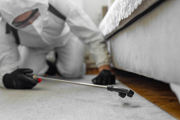 Professional Pest Control technician working in Marin County County, CA